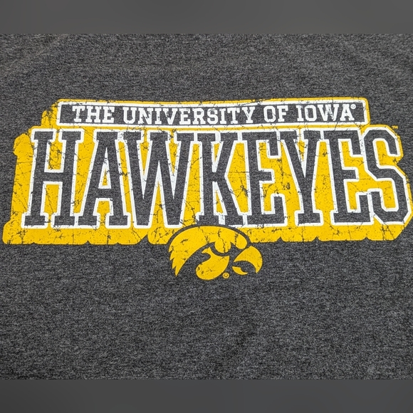 Iowa Hawkeyes Champion University of Iowa Gray T Shirt Men's Size Large NWT - Picture 3 of 9